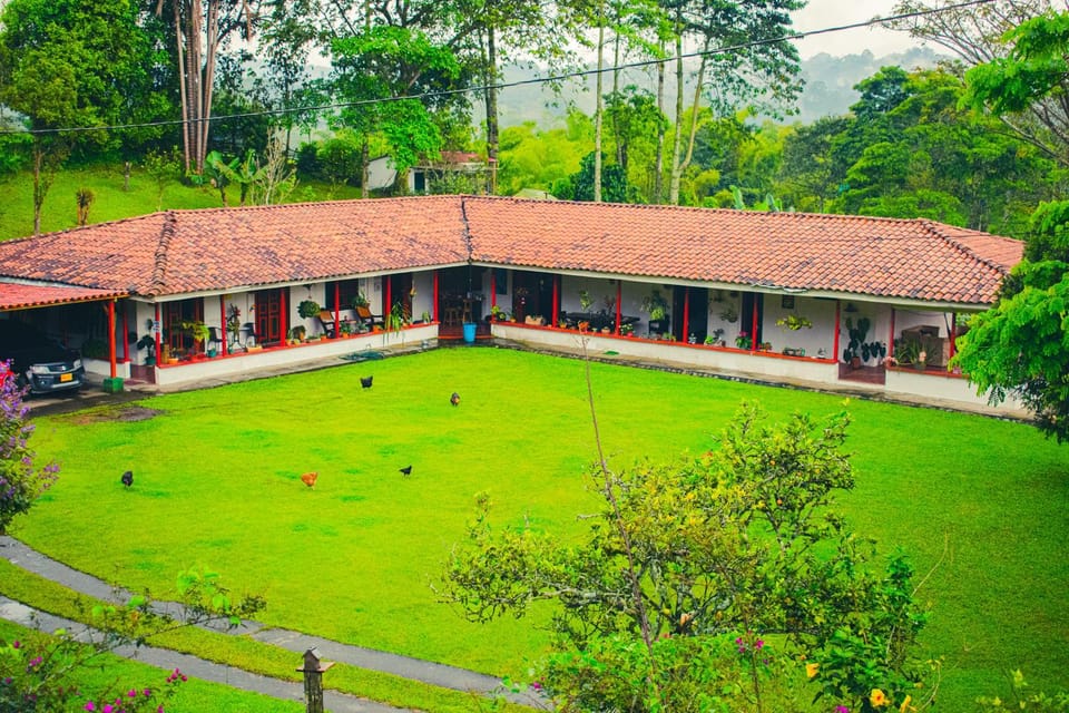 Property building, Garden view