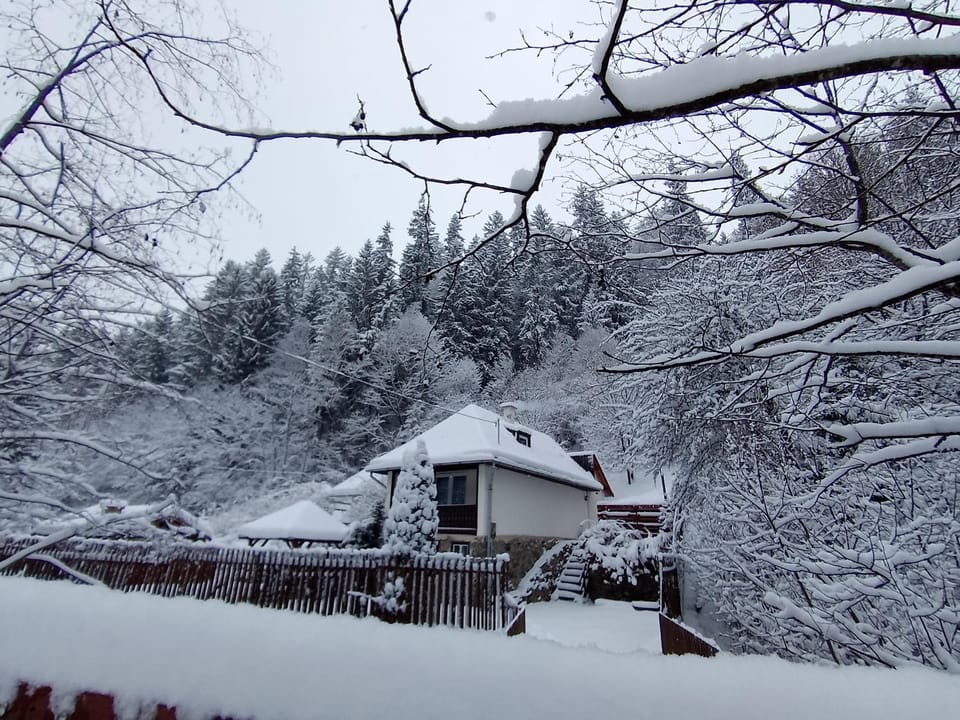 Property building, Natural landscape, Winter