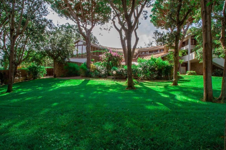 Day, Natural landscape, Garden, Garden view