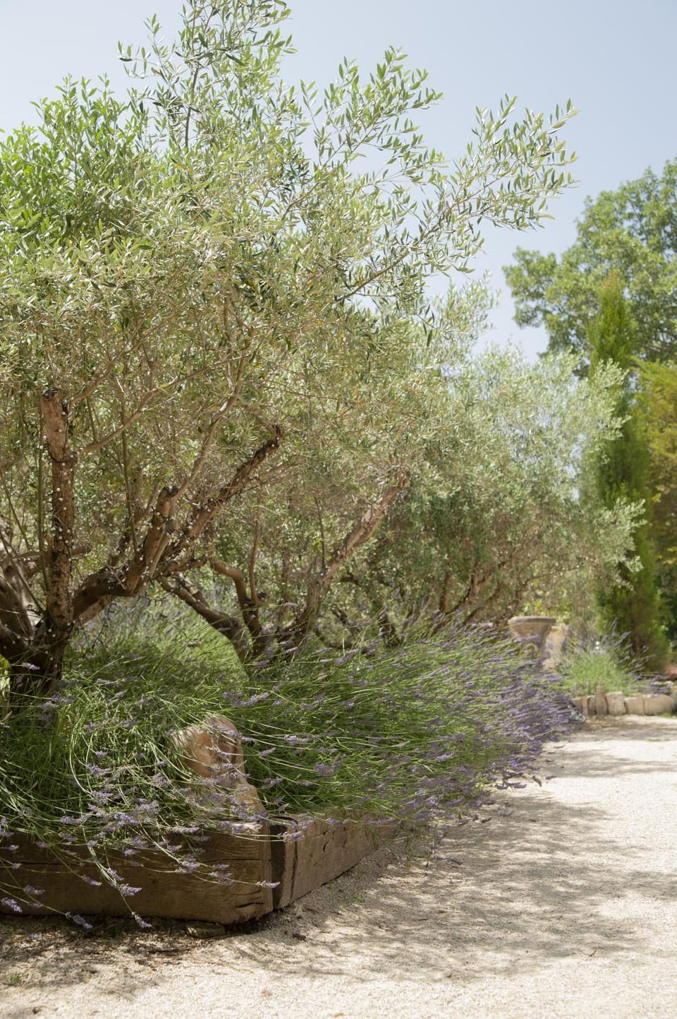 Domaine Cap Rubis Bed and Breakfast in Arles