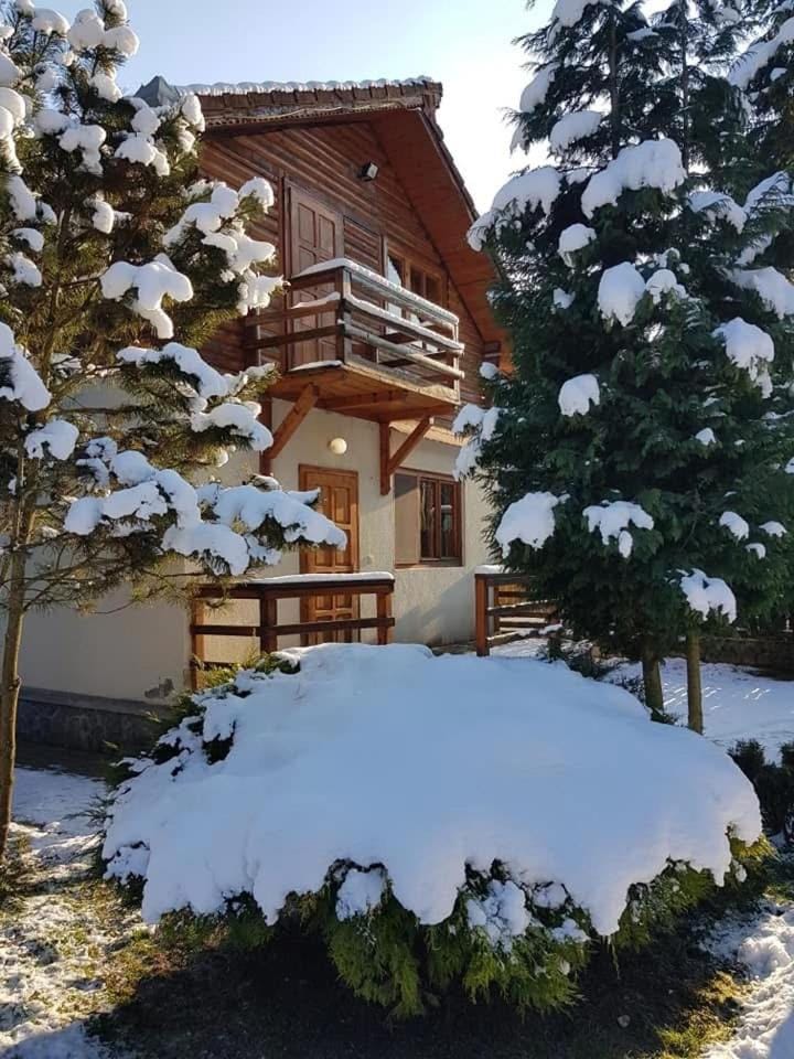 Cabana dintre Brazi House in Romania