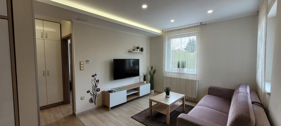 Day, TV and multimedia