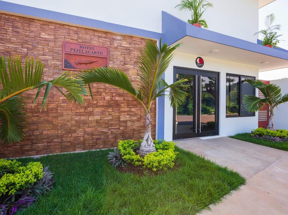 Area and facilities