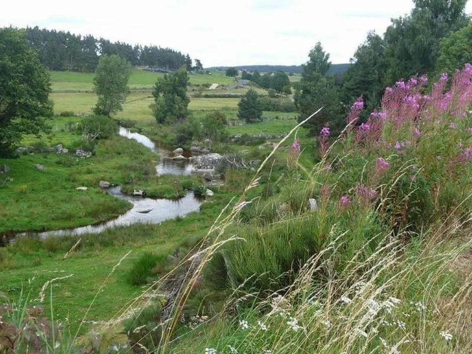 Maison de charme restaurée au bord d'un ruisseau avec terrasse, proche activités de plein air et confort moderne - FR-1-582-225 House in Auvergne-Rhône-Alpes