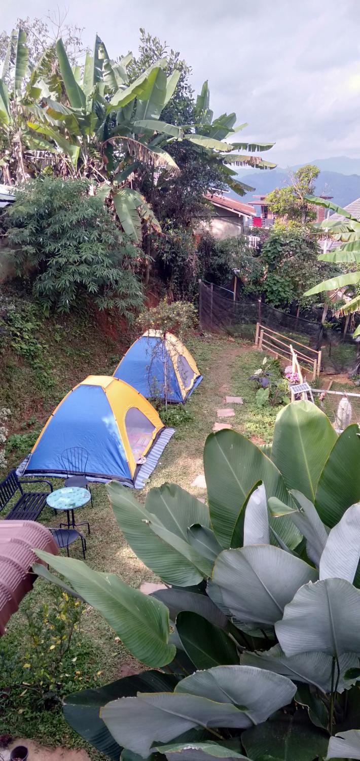 หลับสบายที่ดอยตุง Zuh meh ja Home lodge Vacation rental in Thailand