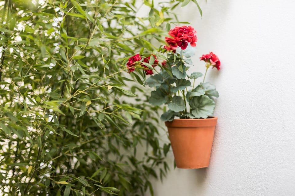 Alfama Design Villa Apartment in Lisbon