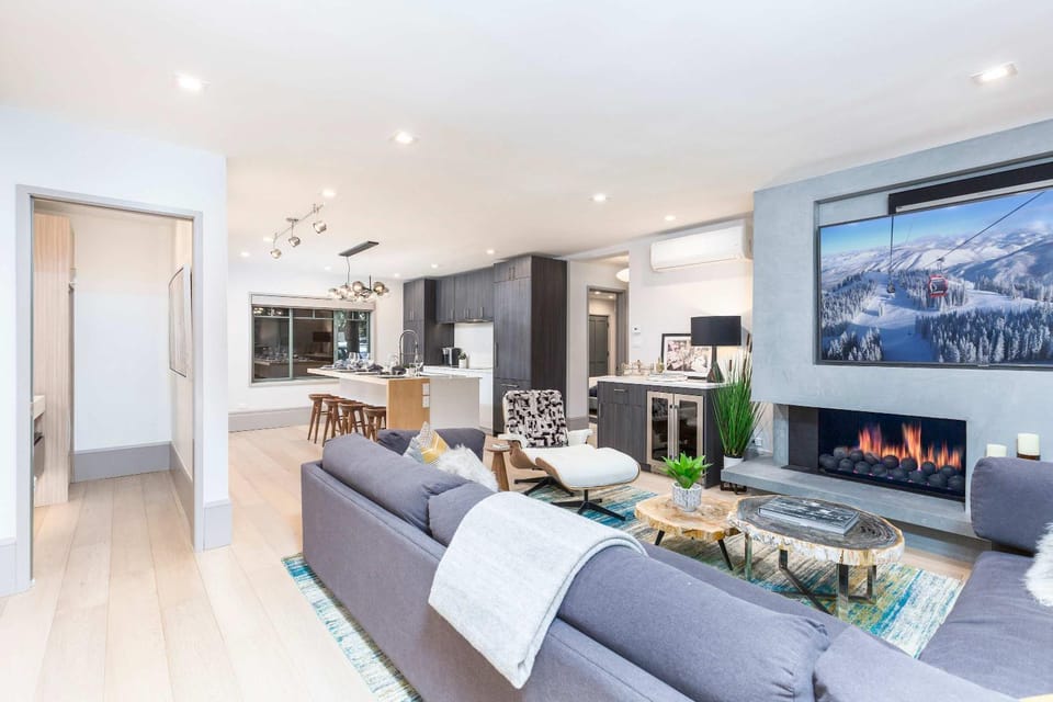 New 2 BR 2 and a half Bath - Luxurious Aspen Mountain Modern! House in Aspen