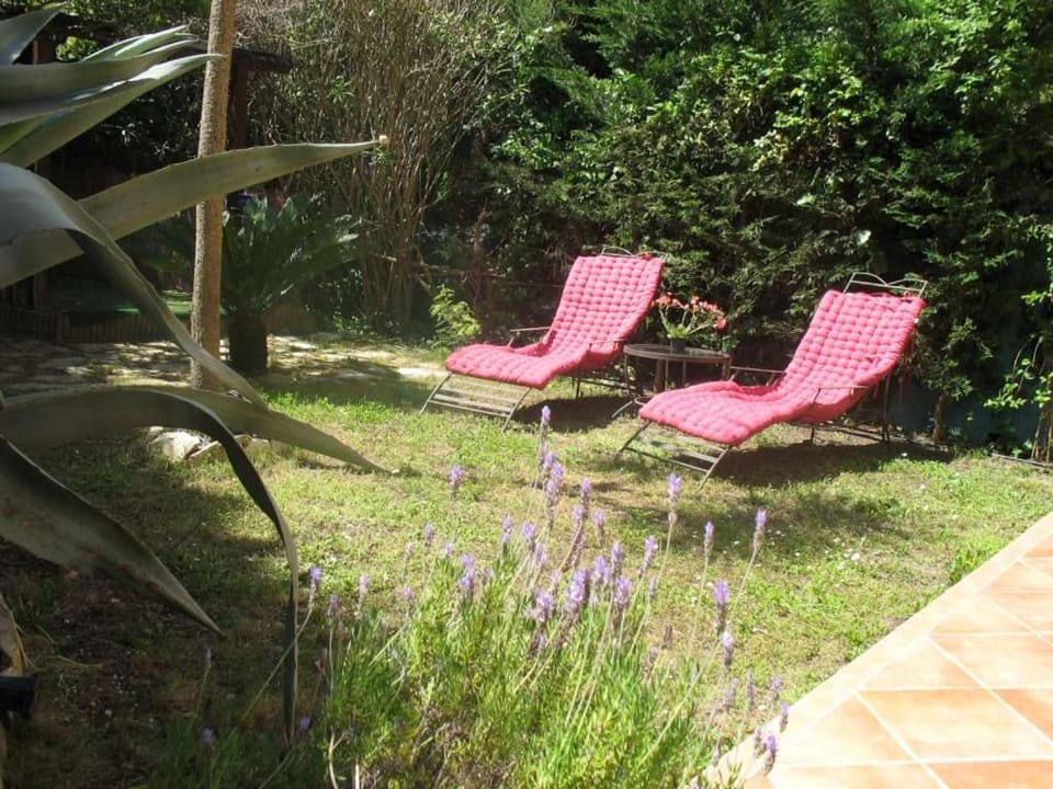 Garden, Garden view