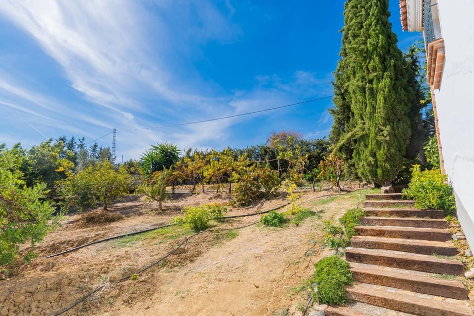 Patio, Garden, Garden view