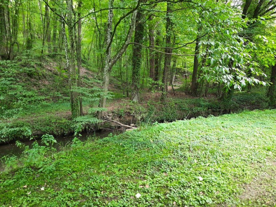 Natural landscape, Garden, Hiking, Garden view