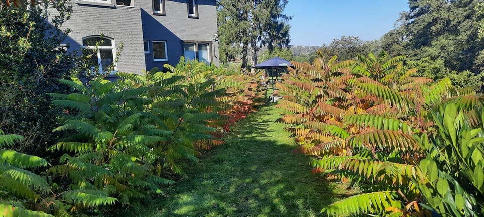 View (from property/room), Garden view