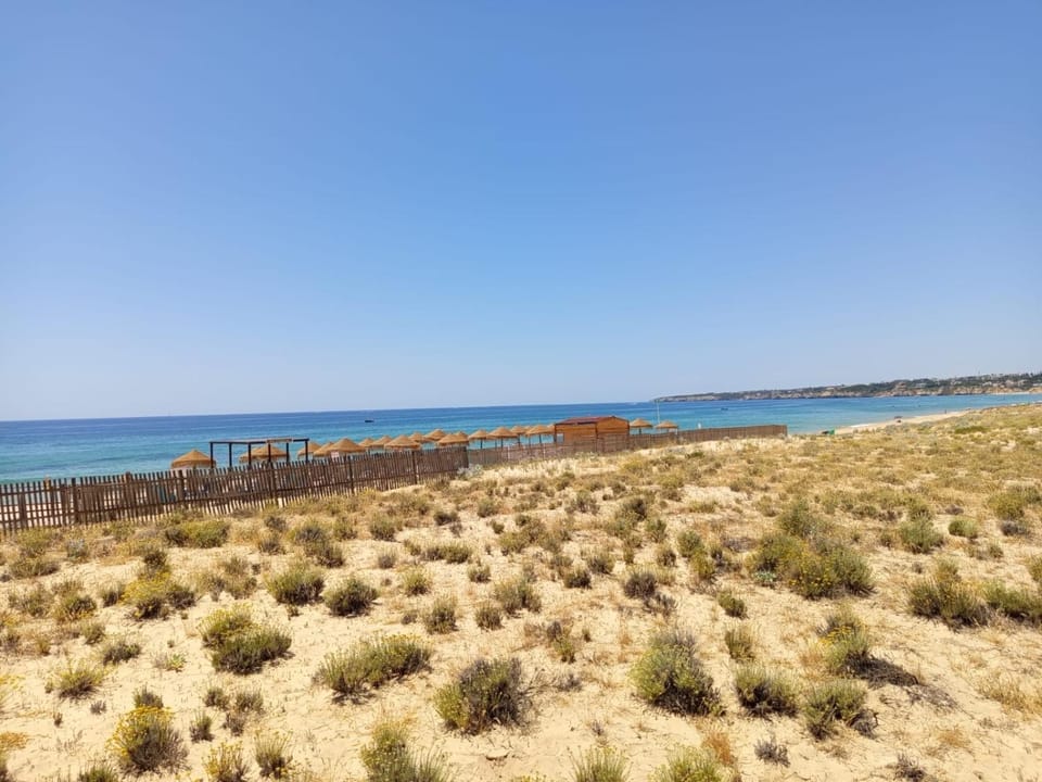 Sea view
