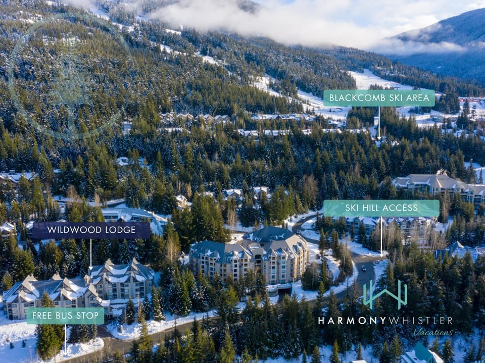 2BR plus Loft in Wildwood Lodge, Free Ski Bus, Hot Tub and Pool, Private Patio, Parking House in Whistler