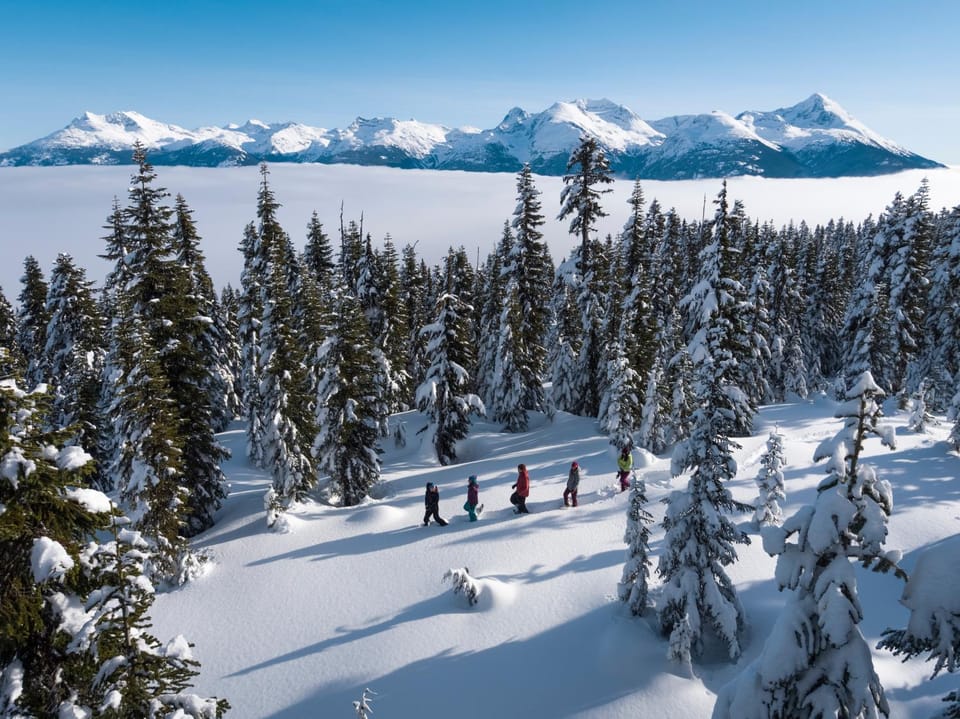 2BR plus Loft in Valhalla, Village Location, Covered Patio, King Bed, Hot Tub House in Whistler