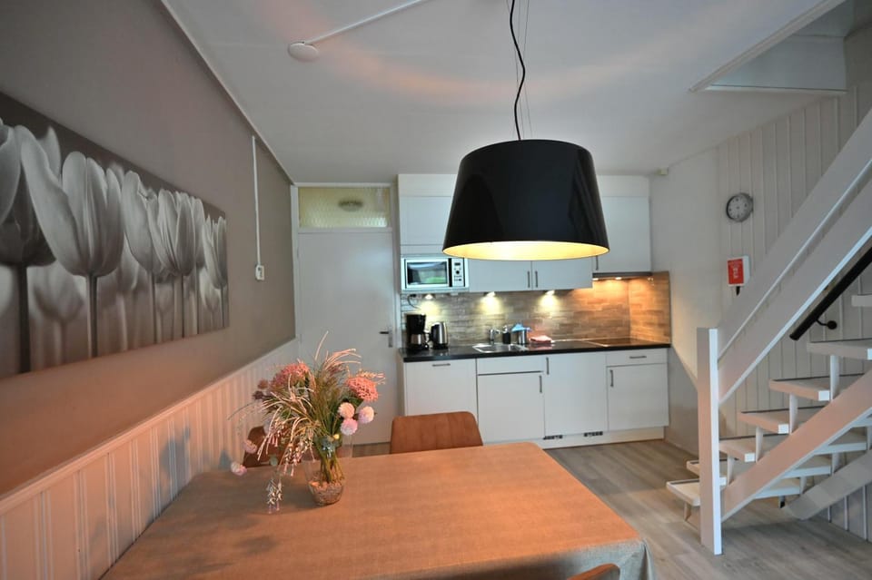 Woeste Hoeve 114 House in Zeeland, Netherlands