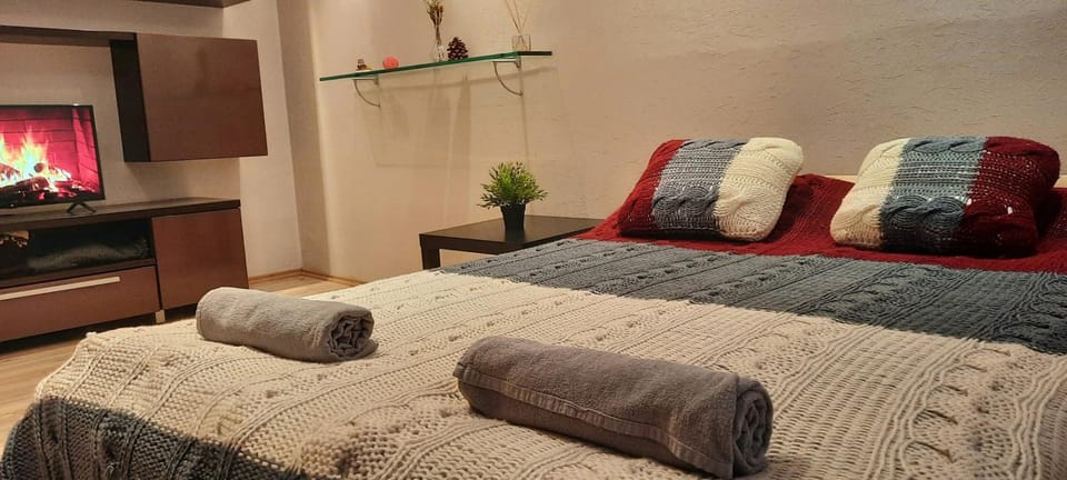 M&M Apartment VIII Self CHECK-IN Apartment in Lithuania