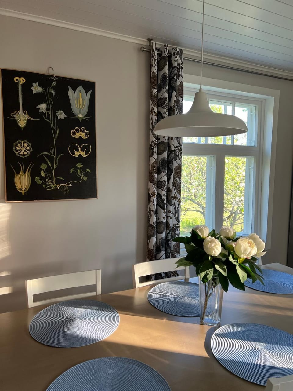 Kitchen or kitchenette, Dining area, kitchen, kitchen