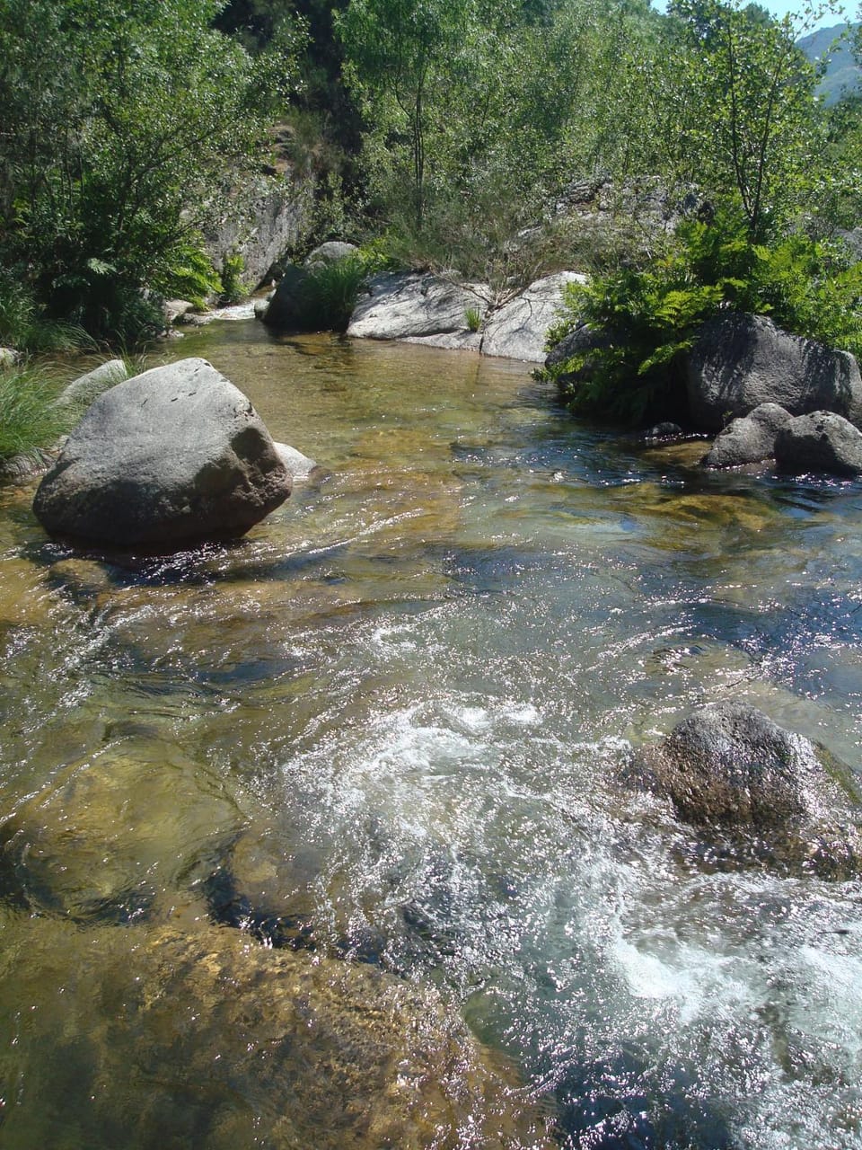 Natural landscape, Hiking, River view, Area and facilities