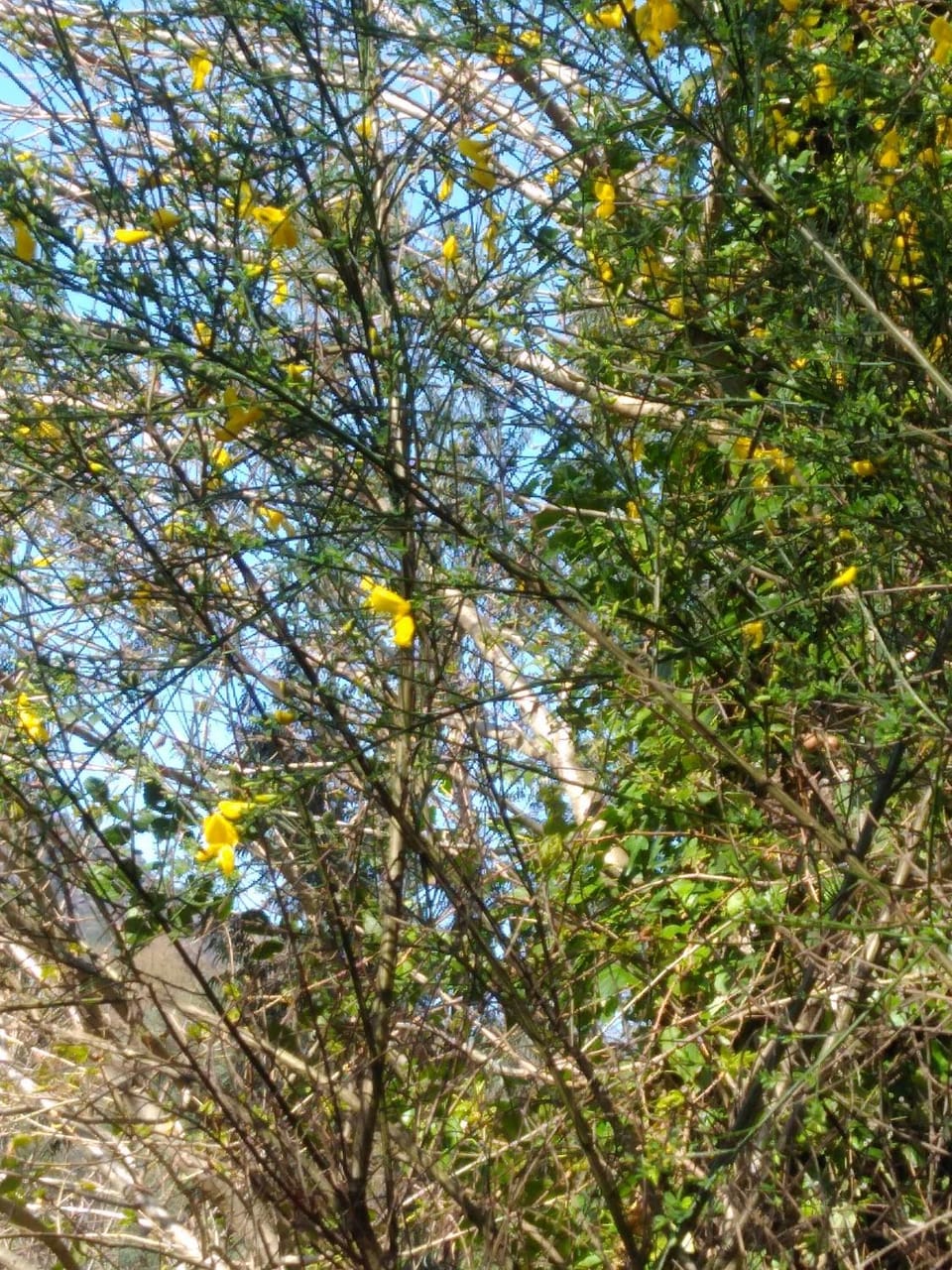 Natural landscape, Hiking