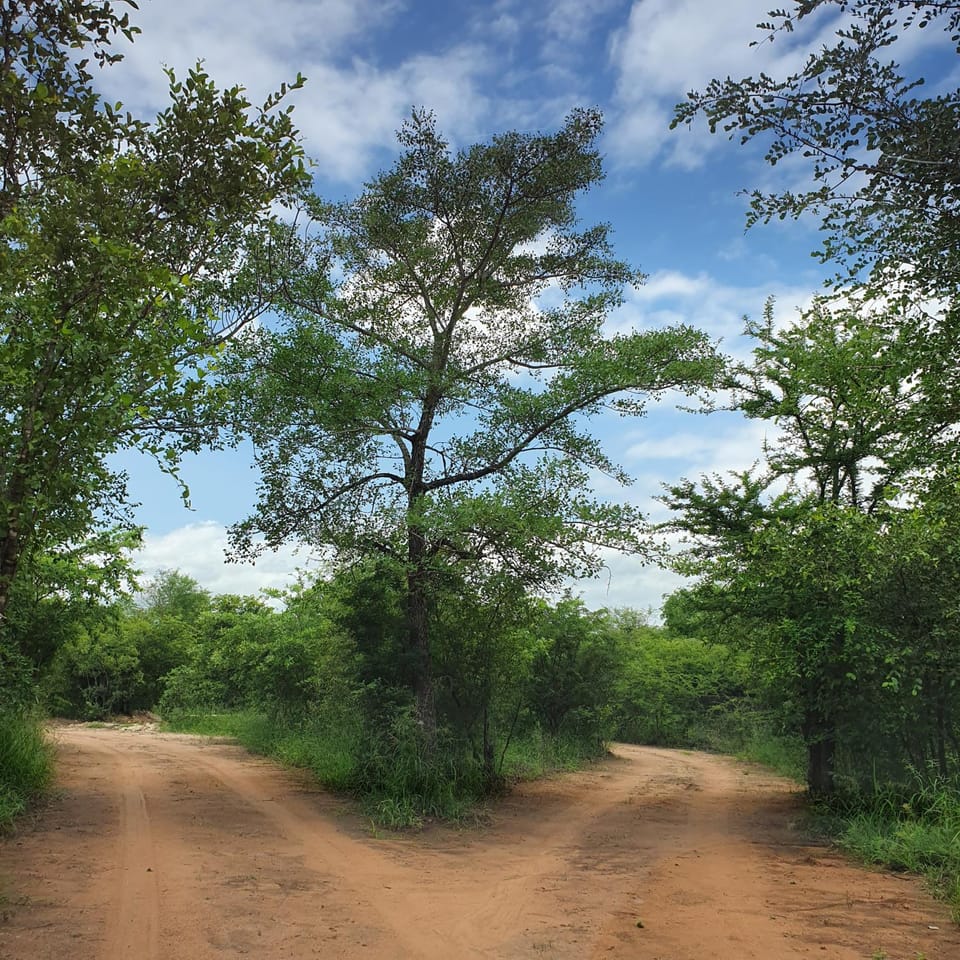 Rhumbini Lodge Nature lodge in South Africa