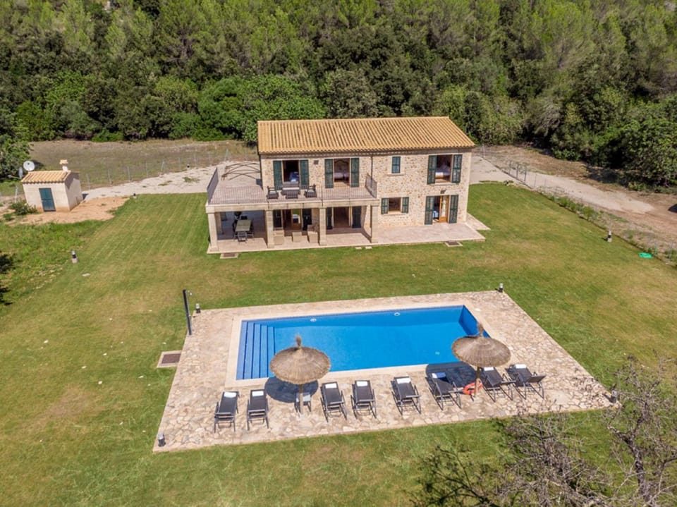Bird's eye view, Garden
