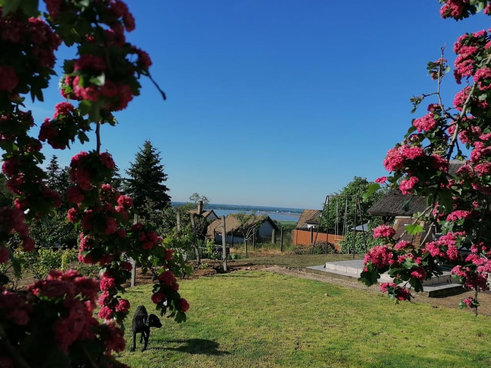 Garden, Lake view