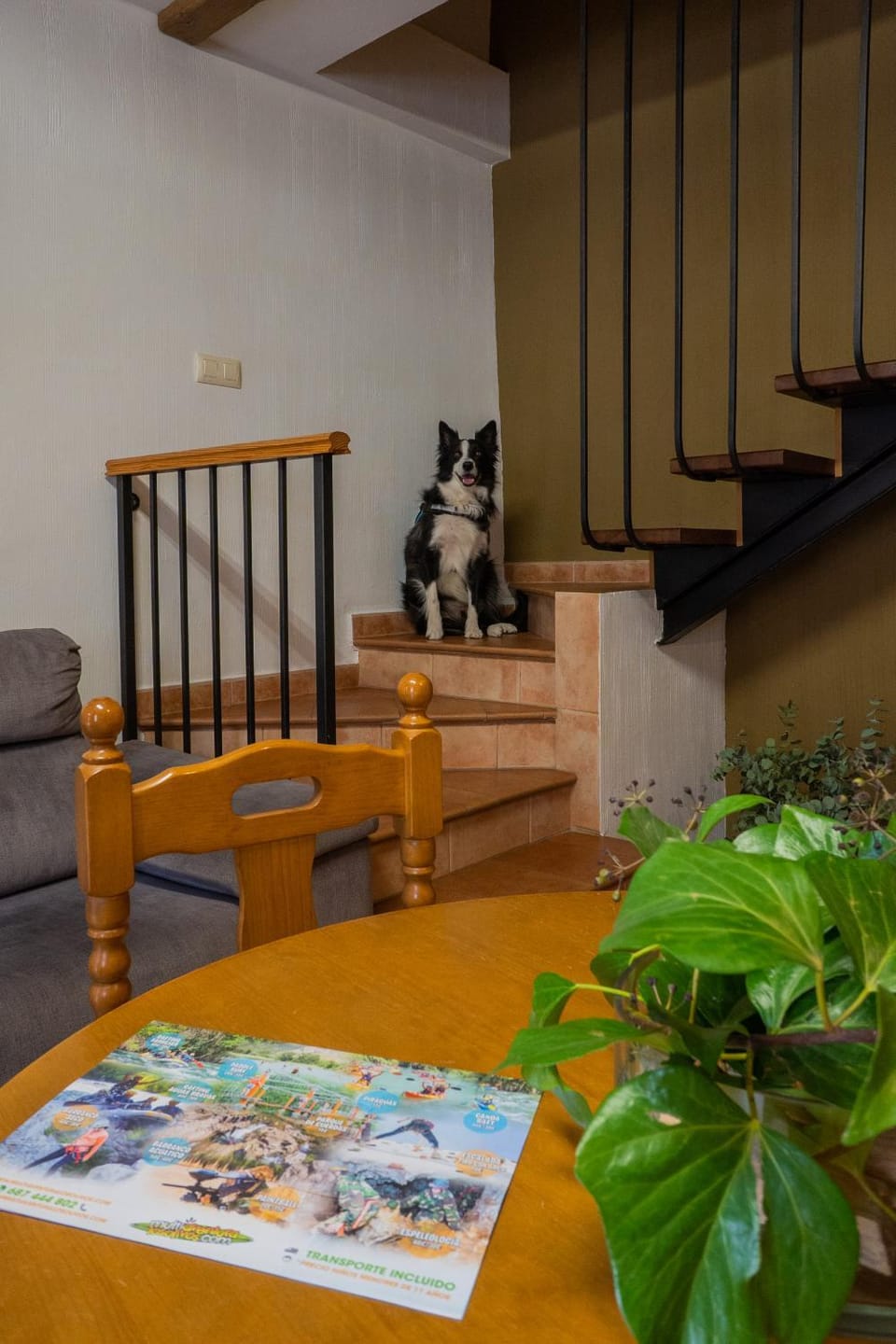 Casas Rurales Olmeda Apartment in Valencian Community