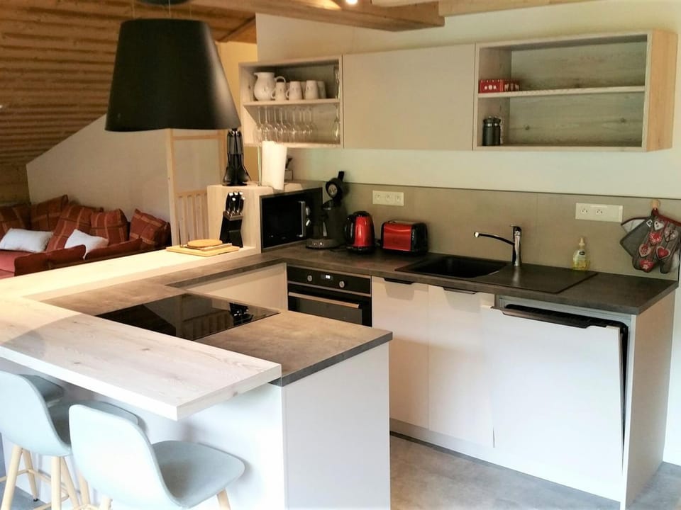 Spacieux appart rénové avec balcon sud, proche pistes et bus à La Clusaz - FR-1-459-167 Apartment in La Clusaz