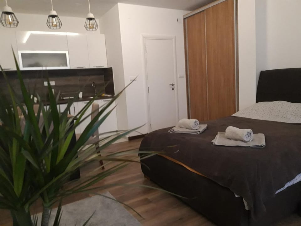 Vilovski Apartment in Belgrade