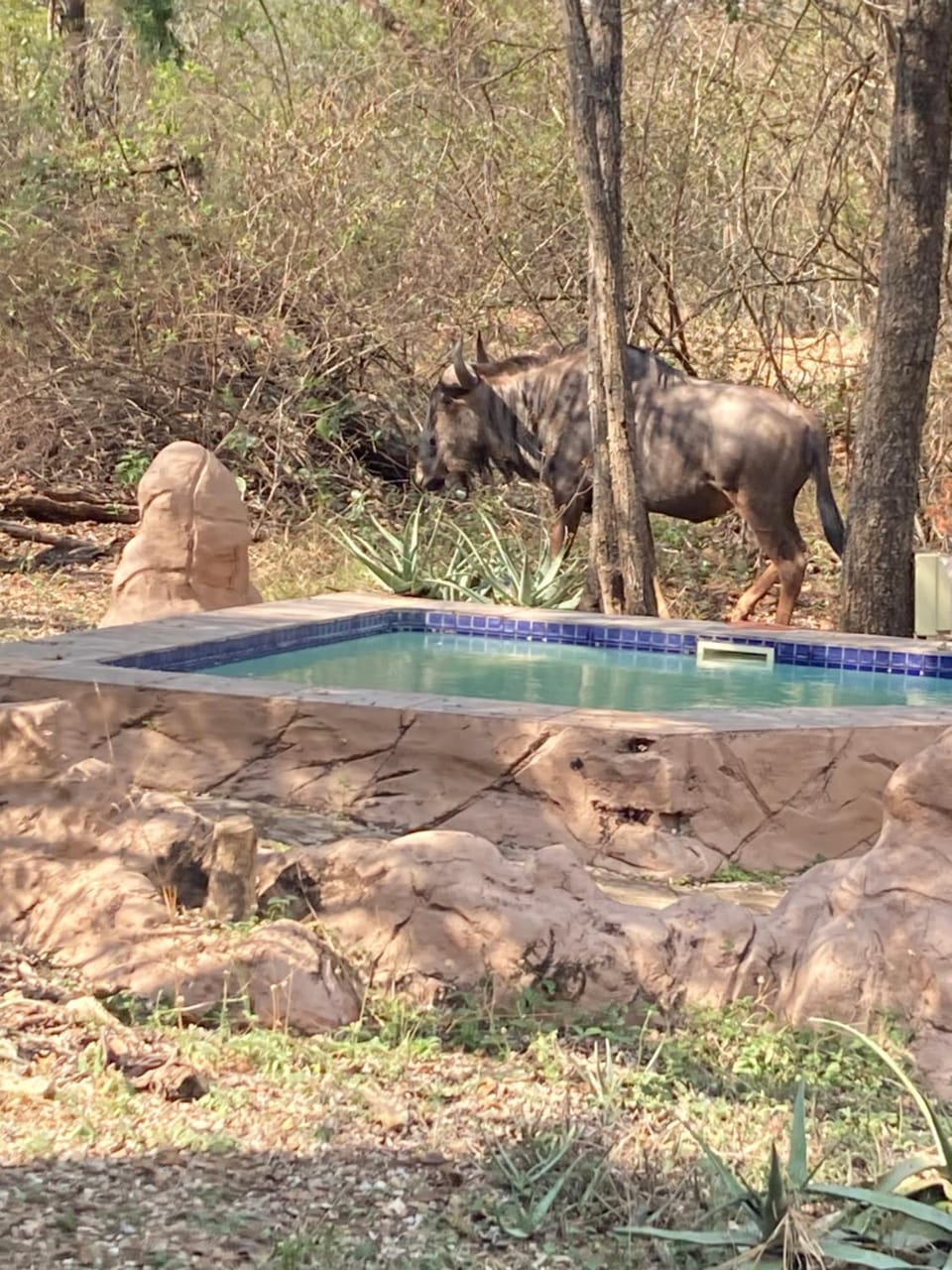 Ivory Sands Selfcatering house House in South Africa