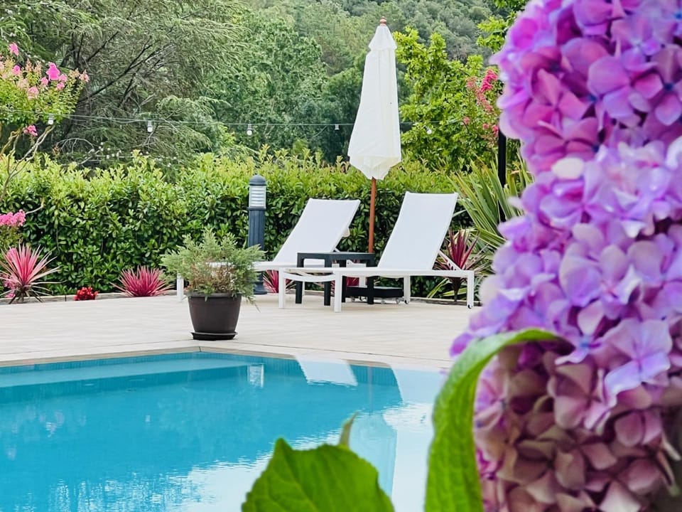 Patio, Garden, Garden view, Pool view, sunbed