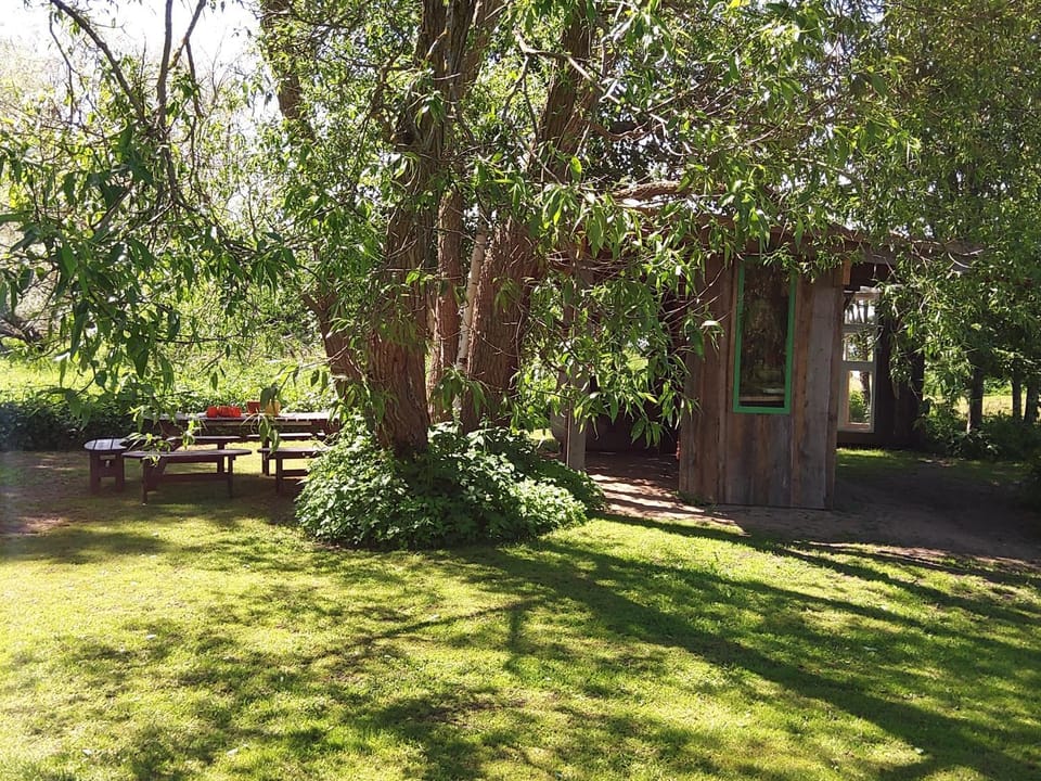 Garden, Dining area, Garden view