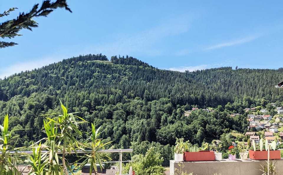 Natural landscape, Balcony/Terrace, Mountain view