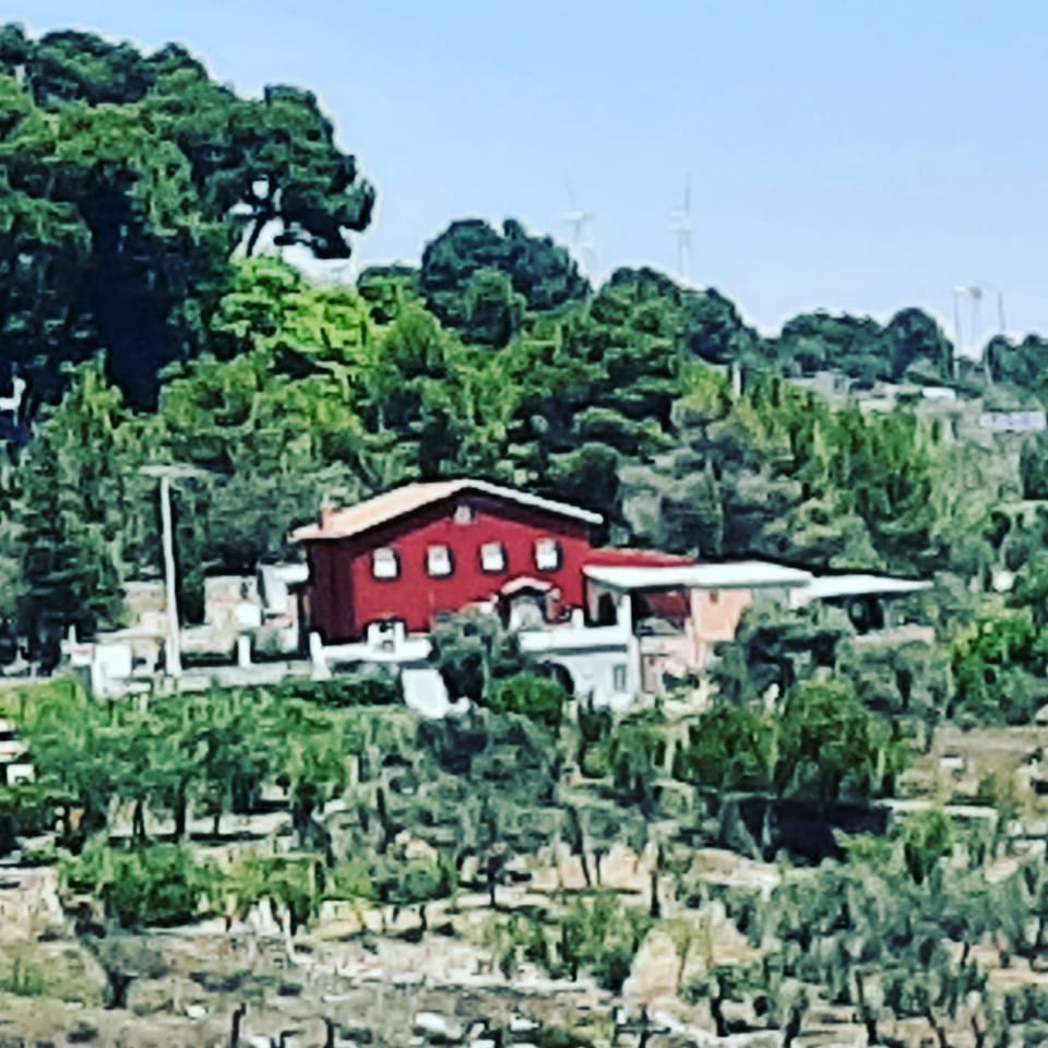 Property building, Bird's eye view