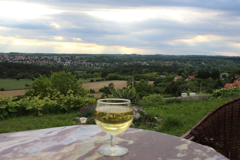 Marikalak Apartment in Hungary