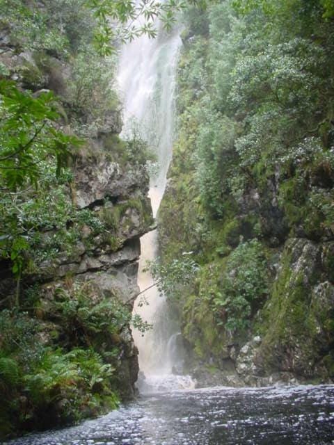 Hiking