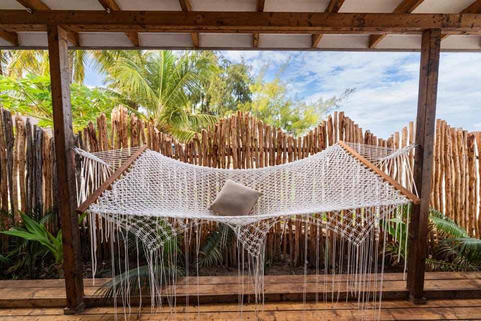 Patio, Garden