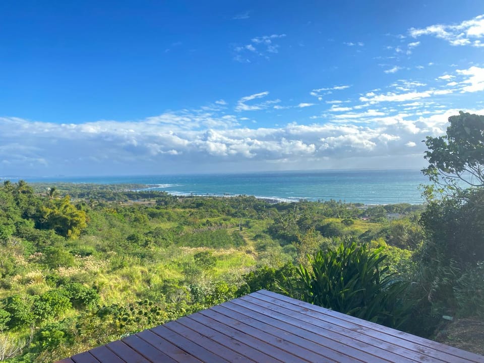 Garden view, Sea view