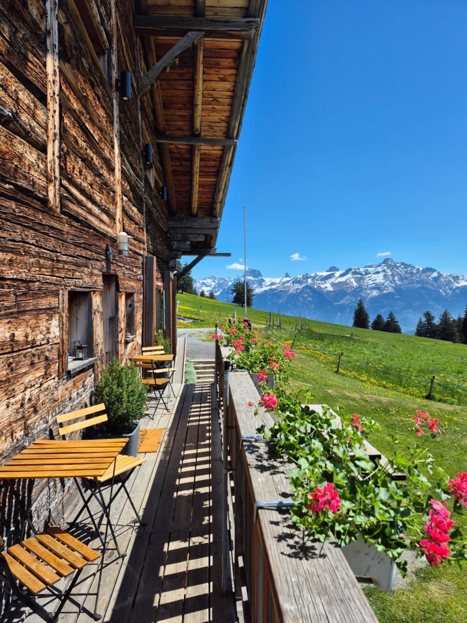 Restaurant/places to eat, Mountain view, Mountain view