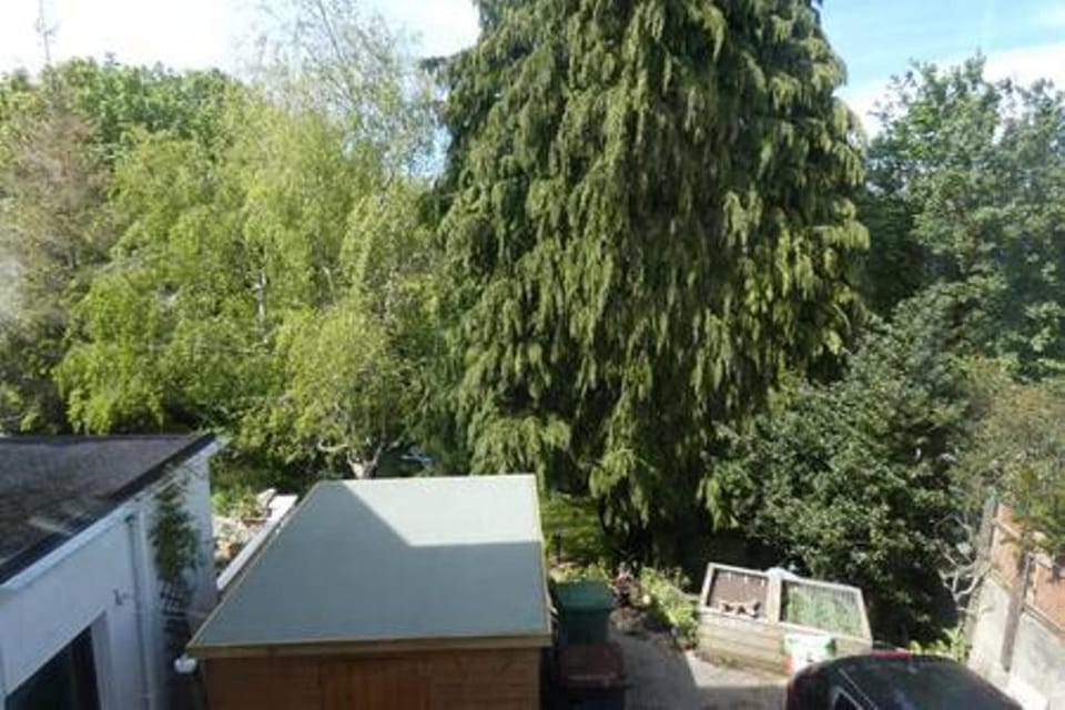 View (from property/room)