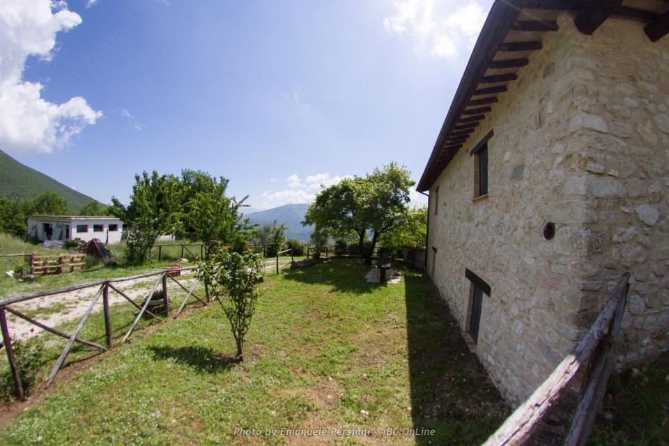Property building, Garden, Garden view