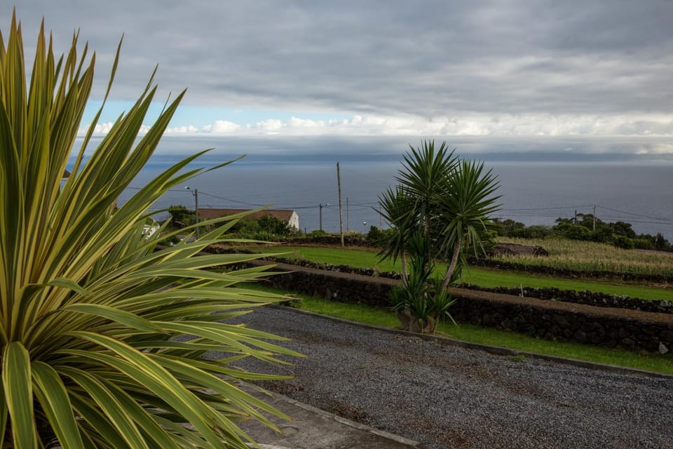 Garden view, Sea view