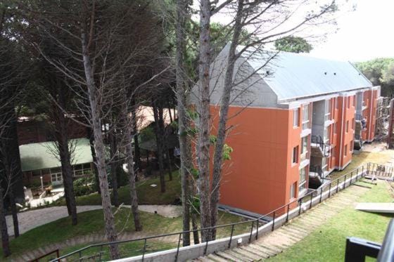 Day, Balcony/Terrace