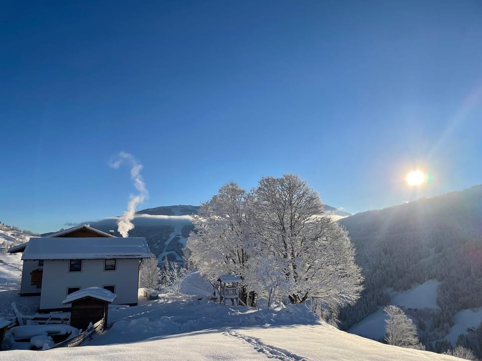 Lindbichlhof Urlaub am Bio Bauernhof Apartment in Salzburgerland