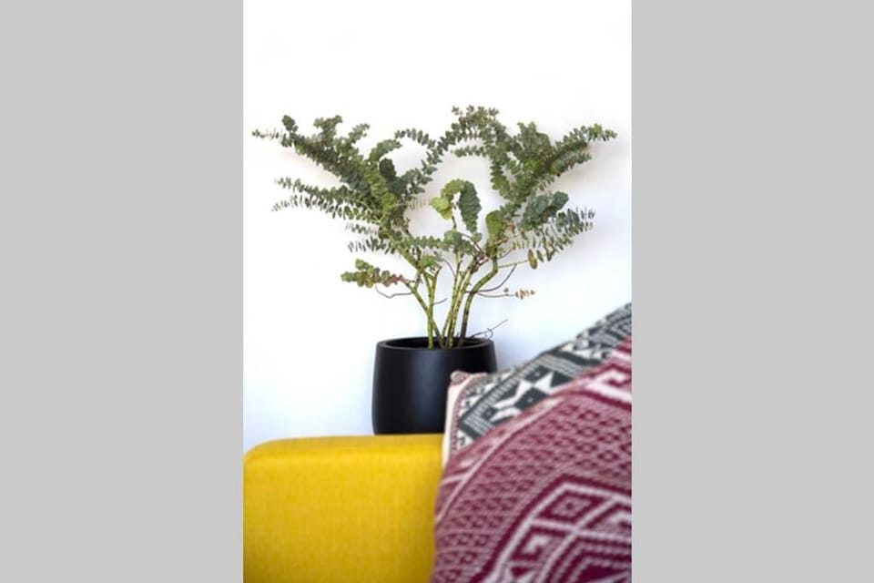 Juan les pins, près de la plage Apartment in Antibes