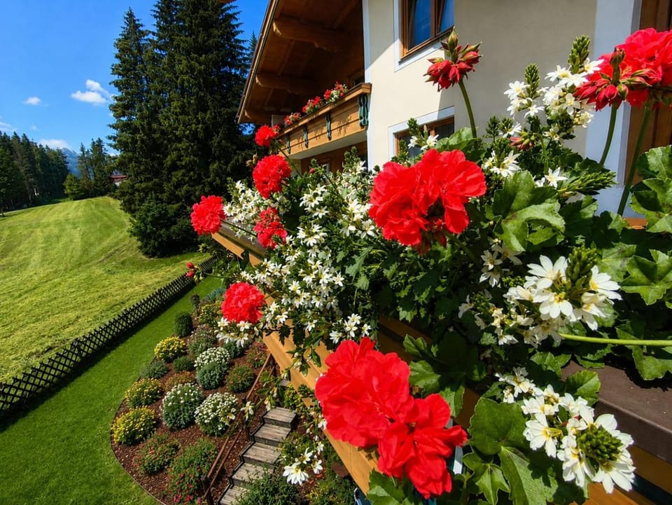 Property building, Balcony/Terrace, Balcony/Terrace, Area and facilities