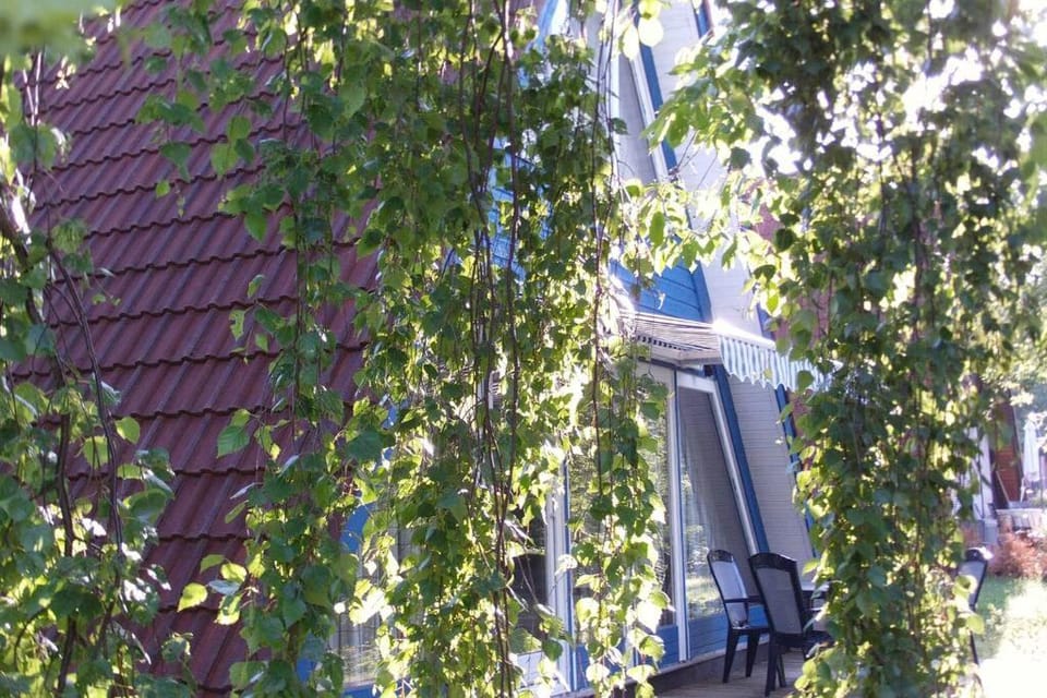 Ferienhaus Kornblume House in Hesse