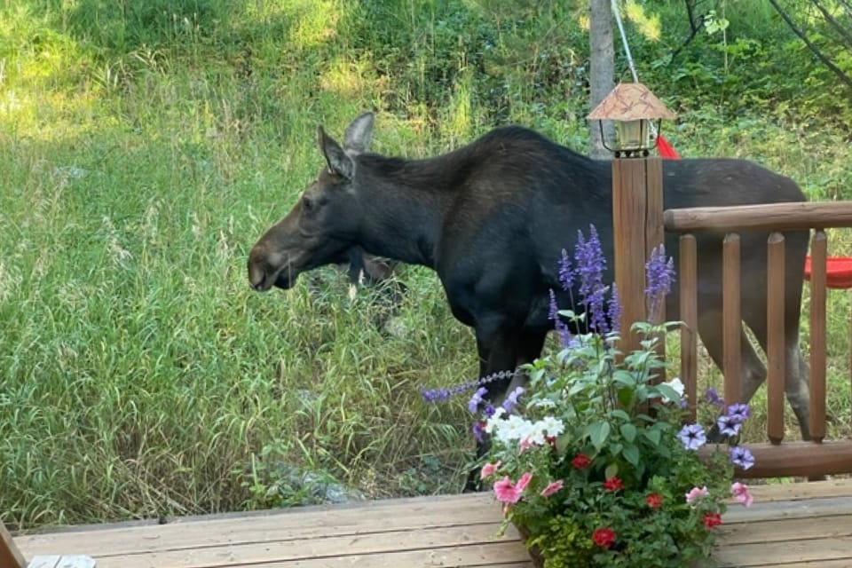 3137 Arrowhead House in Teton Village