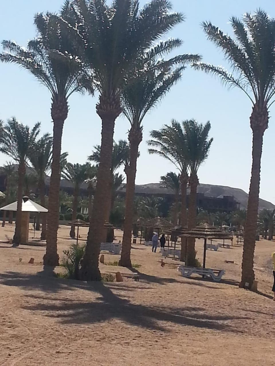 Gorgeous Sea View Apartment - Tala Bay Resort, Aqaba Apartment in Africa