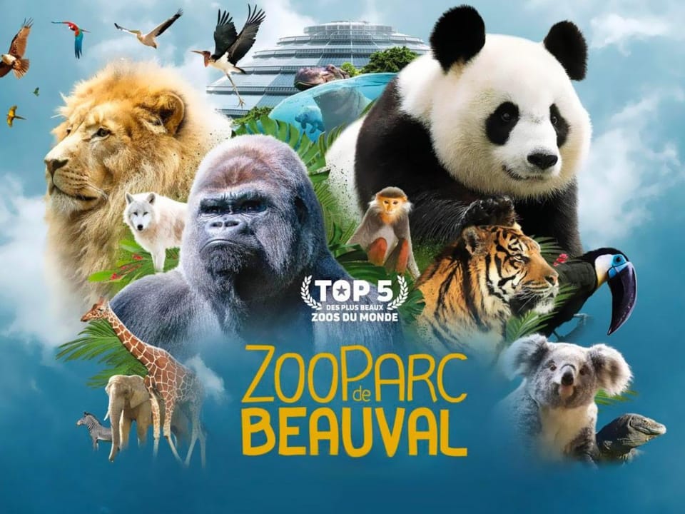 Gîte chaleureux au cœur du Berry, proche Château de Valençay et Zoo de Beauval, jardin clos et calme - FR-1-591-33 House in Centre-Val de Loire